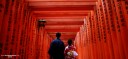 fushimi inari taisha temple kyoto japan temple kimono kansai region cebu pacific travel